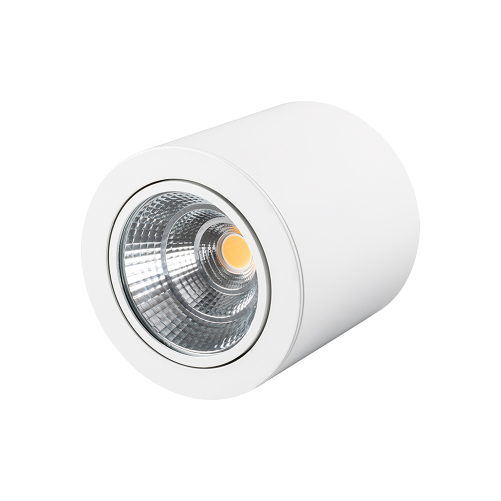 Накладной светильник Arlight SP-FOCUS-R140-30W Day White