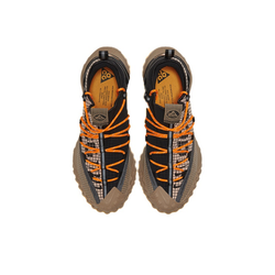 Кроссовки Nike ACG Mountain Fly Low 'Fossil Stone' DA5424‑200