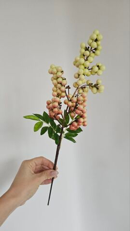 Ягоды / Арт 8041