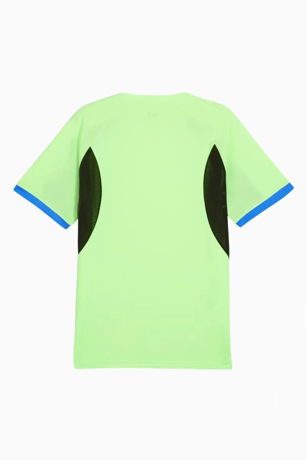 Футболка Puma individualLIGA - зеленый