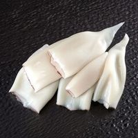 Кальмары, каракатицы, осьминоги