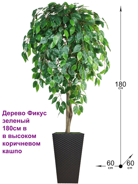 Искусственное дерево Фикус зеленый 180см в высоком коричневом кашпо ротанг