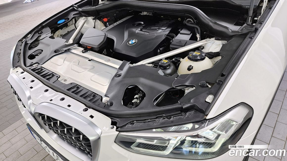 BMW X4 (G02) xDrive20i xLine (02.2022)