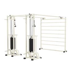 Сдвоенная рама и шведская стенка IK36 серый