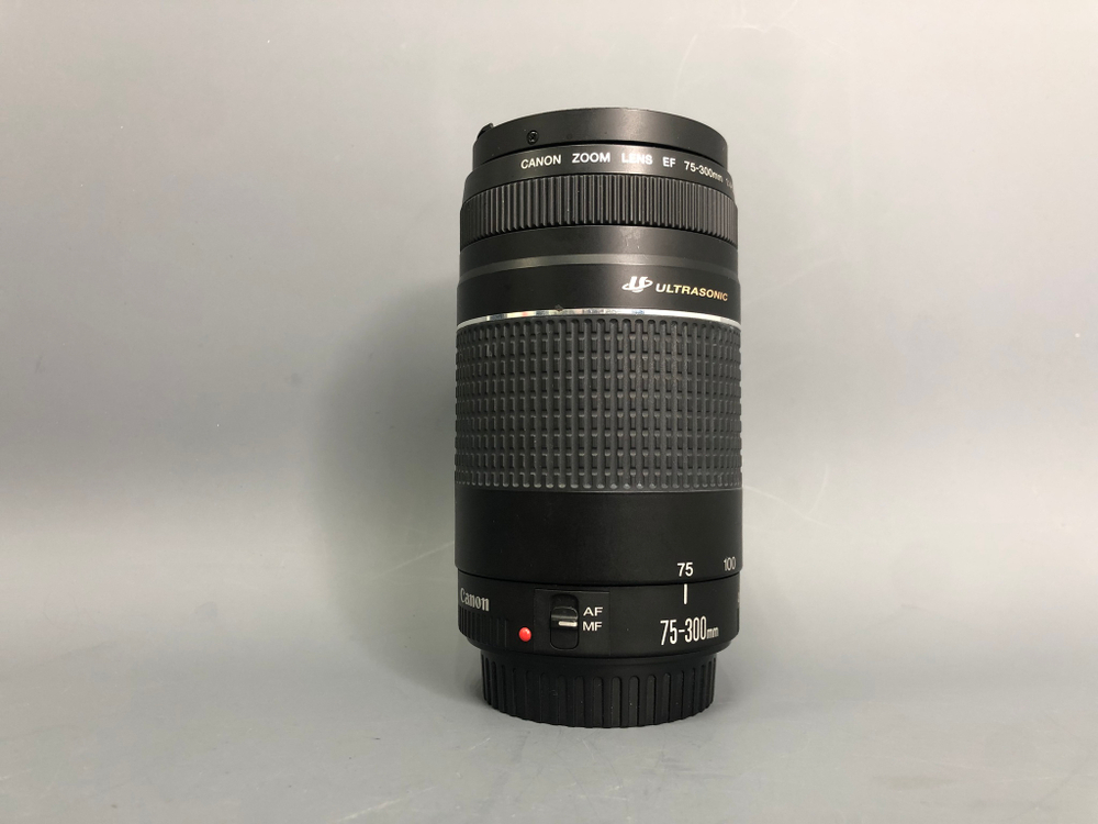 Canon EF 75-300mm 4-5.6 III USM