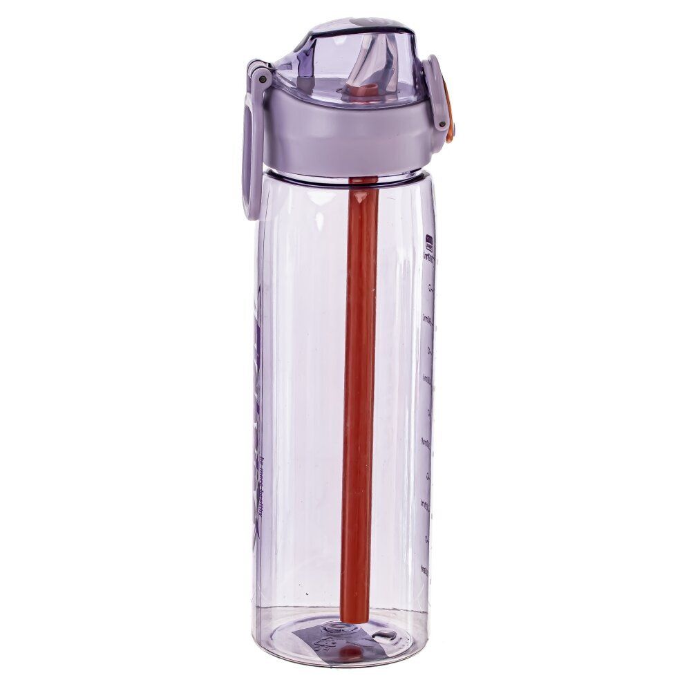 GAEM Бутылка, 650 мл, L8 W8 H25,5 см, 4в.