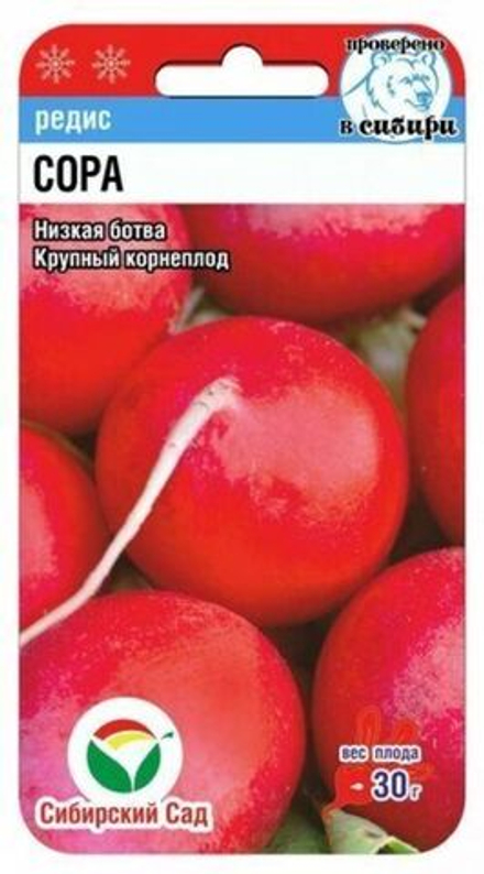 Редис СОРА цв.пак. 0,5г Сибирский Сад