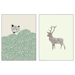 IKEA BILD  (ИКЕА БИЛД)  -  Плакат, Дикие животные, 30x40 см