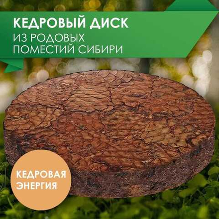 Кедровый диск из родовых поместий Сибири