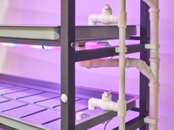 Гидропонная установка