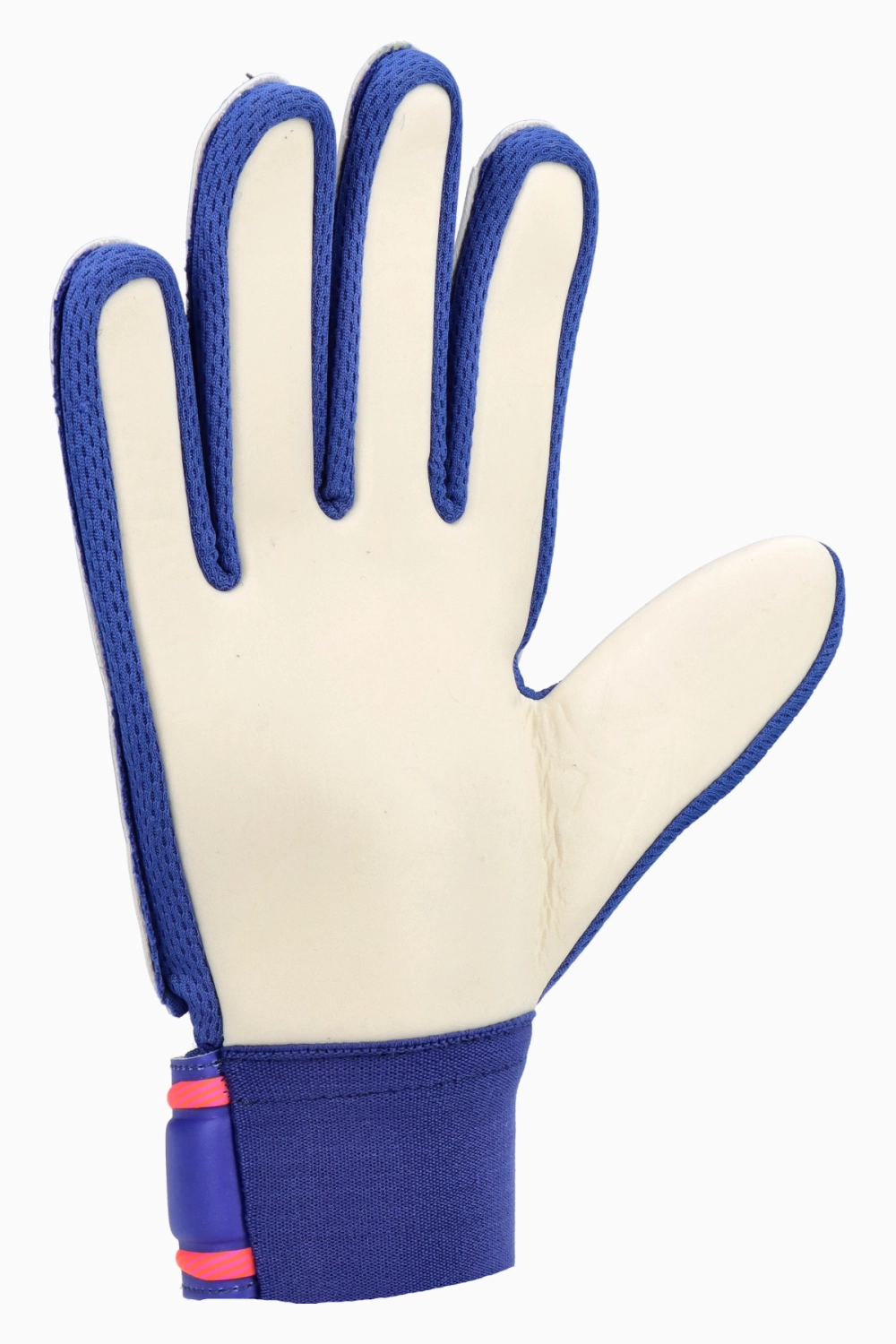 Вратарские перчатки Reusch Attrakt Starter Solid Junior - синий