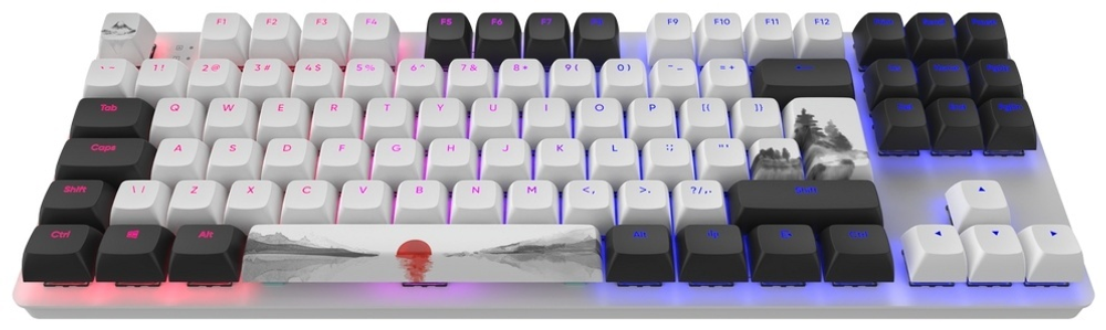 КЛАВИАТУРА DARK PROJECT ONE 87 FUJI