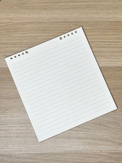 Запасные блоки линейка 60л д/блокнота 195х210 мм (8808-002)