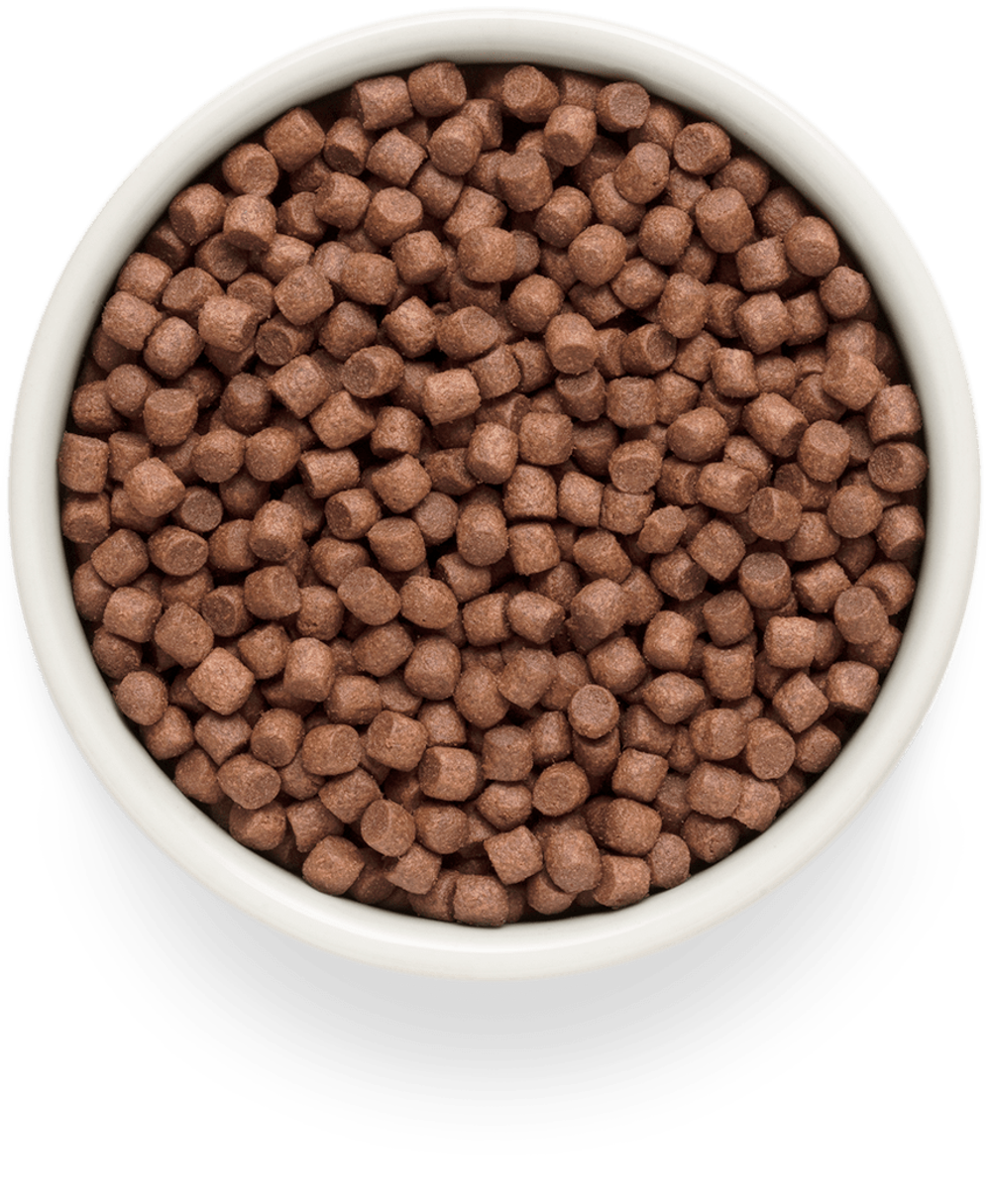 Grandorf Fresh Dog Potato корм сухой беззерновой для собак мелких пород ягненок,батат