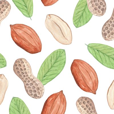 Арахис на белом