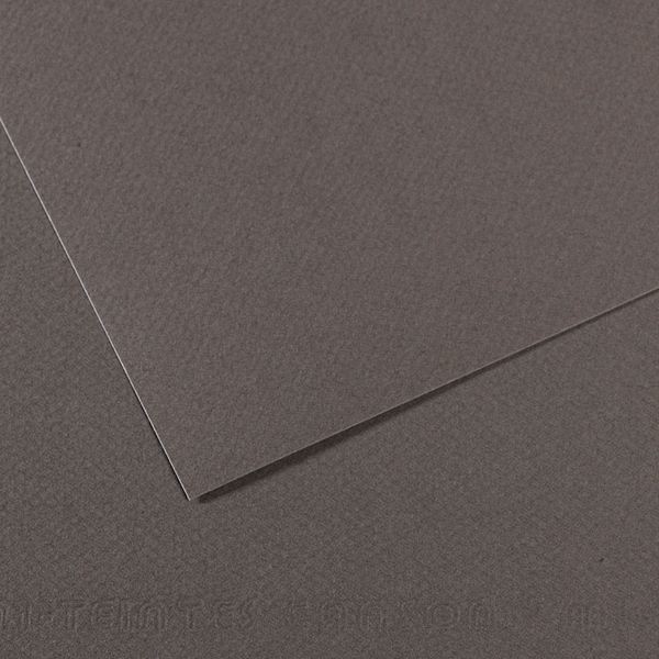 Бумага для пастели Mi-Teintes 160 г/м², A4 21х29.7 см, 25 л, №345 Серый темный, Canson, C31032S015