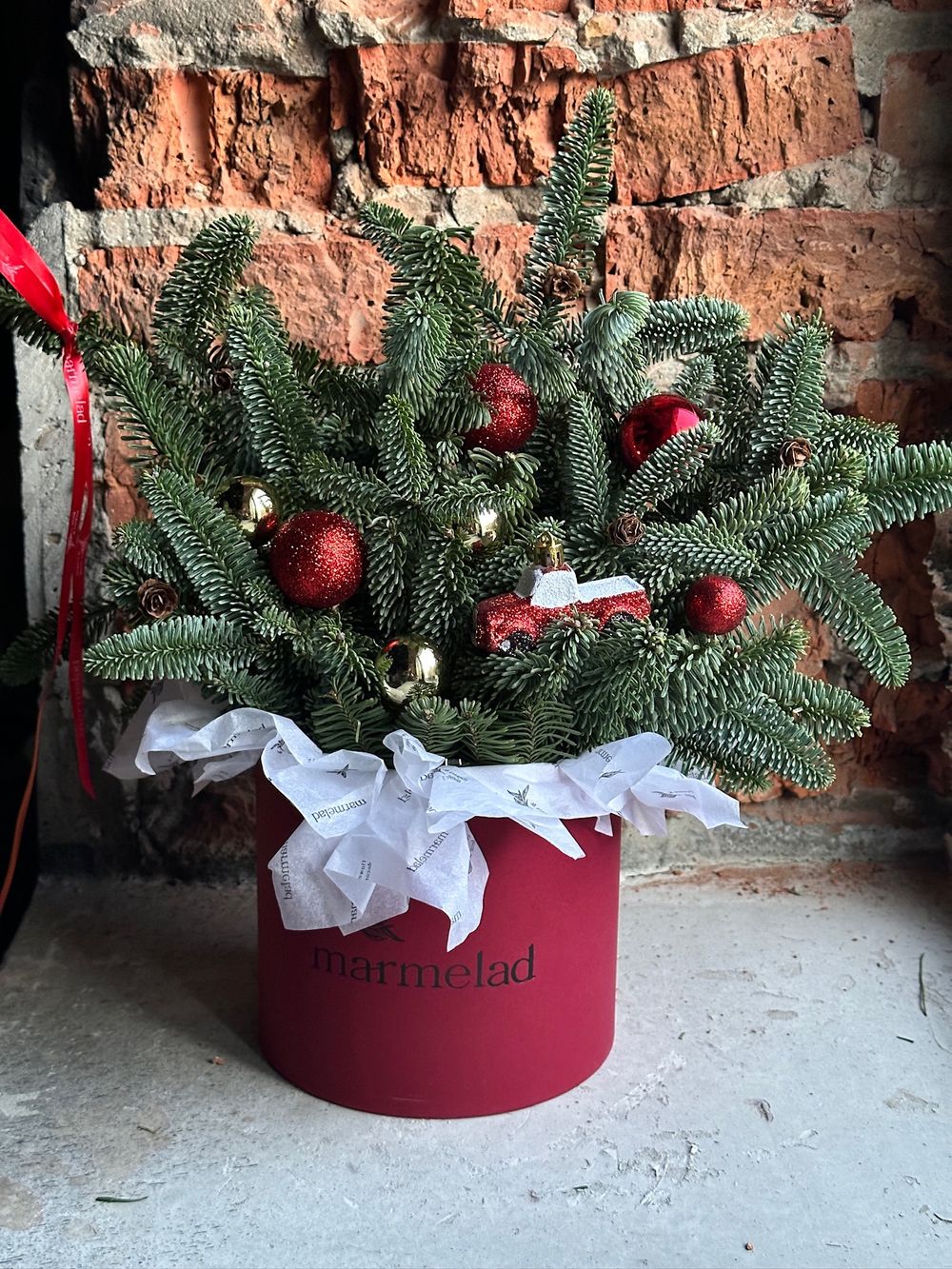 Коробка из нобилиса