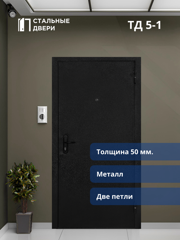 Входная дверь ТД 5-1