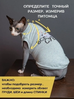 Майка для собак и кошек