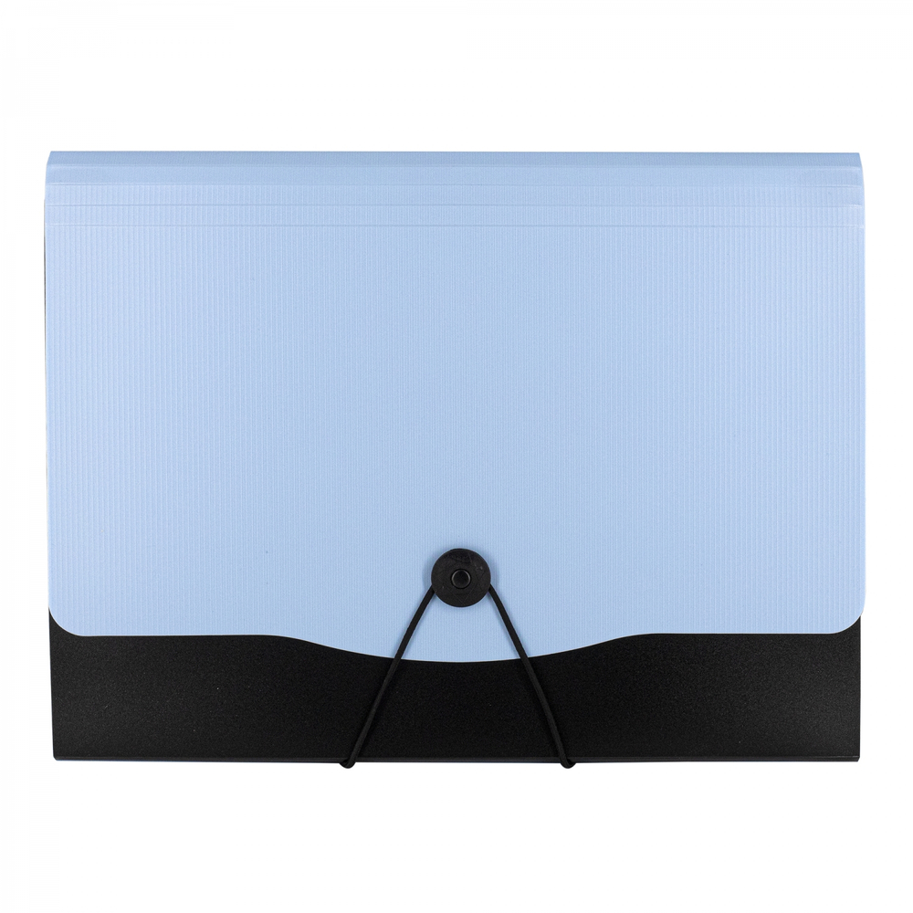 Папка-картотека Alingar, A4, 330х250 мм, на пуговице, пластик, 600 мкм, 13 отделений, папка-планшет, голубой клапан