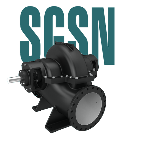 Центробежный насос двухстороннего входа серии SGSN, Shimge