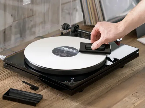Analog Renaissance Record Velvet Brush Black