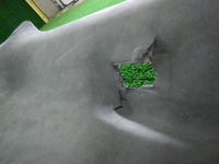 DSCN1186.JPG