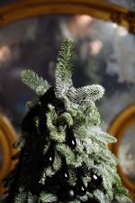 Ёлочка Звездное небо