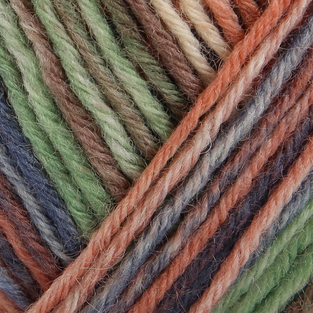 Пряжа для вязания Nordic Nature Color (06104) Schachenmayr Regia, 6 ниток (150г/375м).