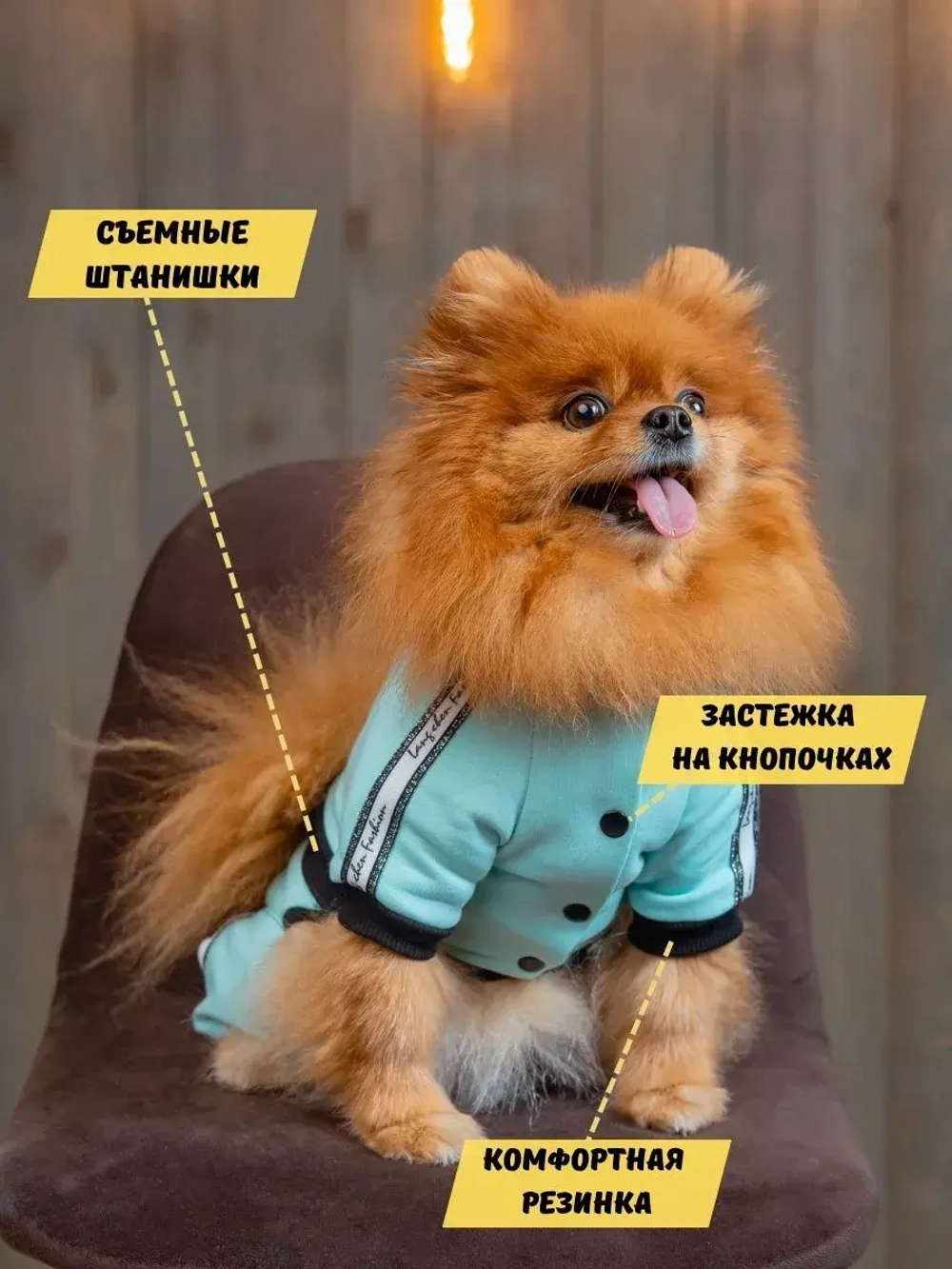 Спортивный комбинезон костюм для собак