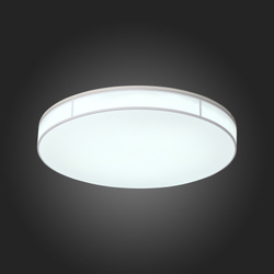Накладной светильник ST-Luce SL417.512.01