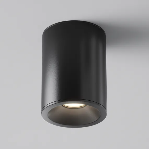 Потолочный светильник Зум / Zoom 1*GU10 10 Вт IP 54 Technical c029cl-01b