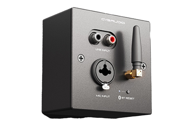 CVGAUDIO PW/EX-IN/BL универсальная настенная панель для удаленного подключения балансного микрофона MIC IN