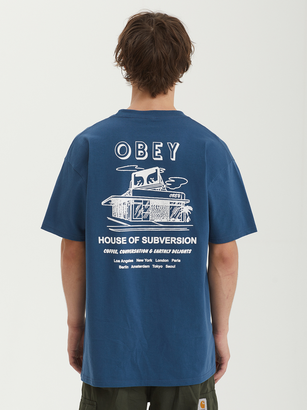Мужская Футболка Obey House Of Subversion