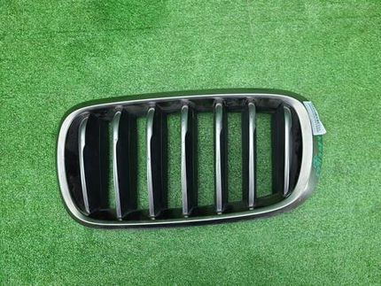 Решетка радиатора левая BMW X6 F16 (2014-2020)