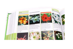 RHS Encyclopedia of plants and flowers
