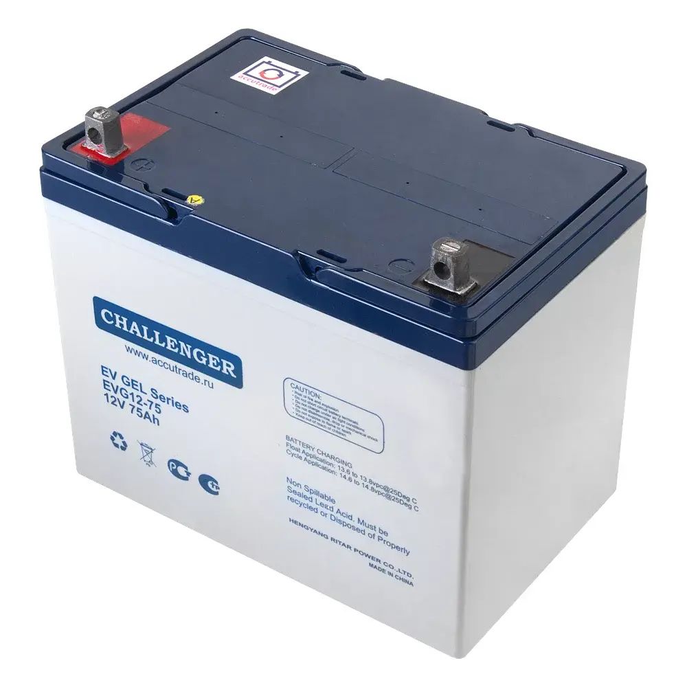 Тяговый аккумулятор CHALLENGER EVG12-110