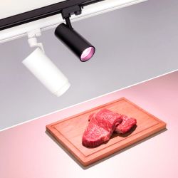 Светильник LGD-GERA-4TR-R90-30W Warm SP2900-Meat (BK, 24 deg, 230V) (Arlight, IP20 Металл, 3 года) 032481