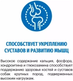 Karmy Maxi Adult Сухой корм для собак крупных пород с индейкой, 2 кг