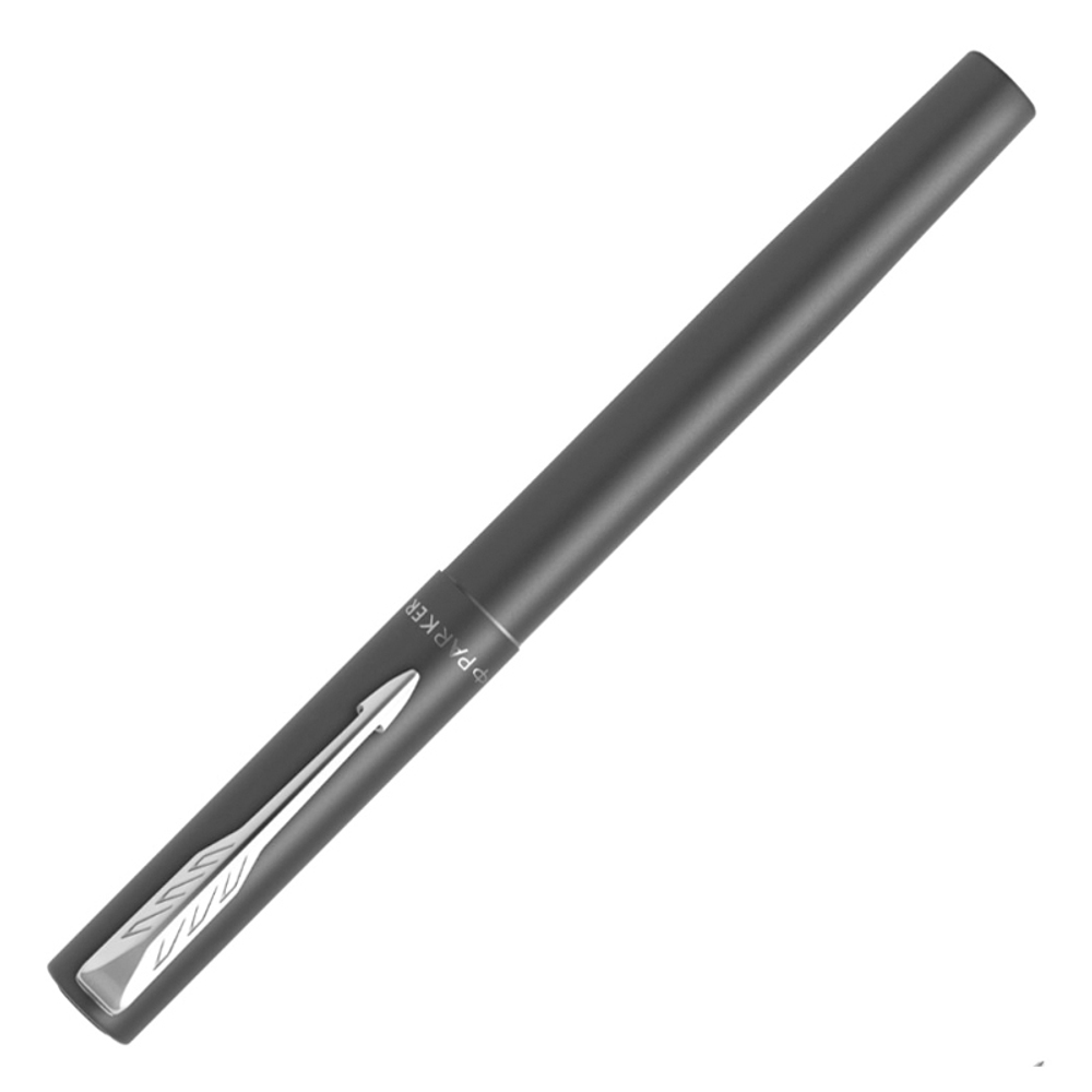 Ручка перьевая Parker Vector M