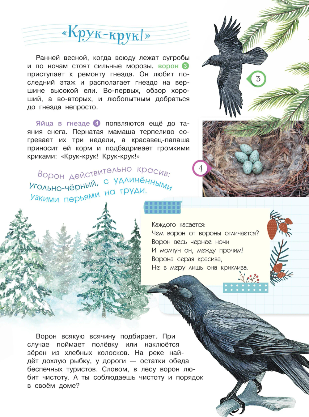 Энциклопедия для мальчиков и девочек. Наша природа