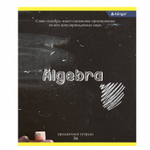 Тетрадь предметная 36л. А5 "Алгебра", клетка, со справочным материалом, скрепка, мелованный картон (стандарт), блок офсет, Alingar "Chalk board"