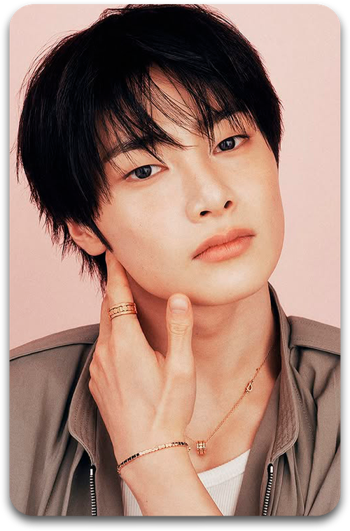 Карта / STRAY KIDS #3375