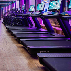 Профессиональная беговая дорожка SHUA SH-T9100T