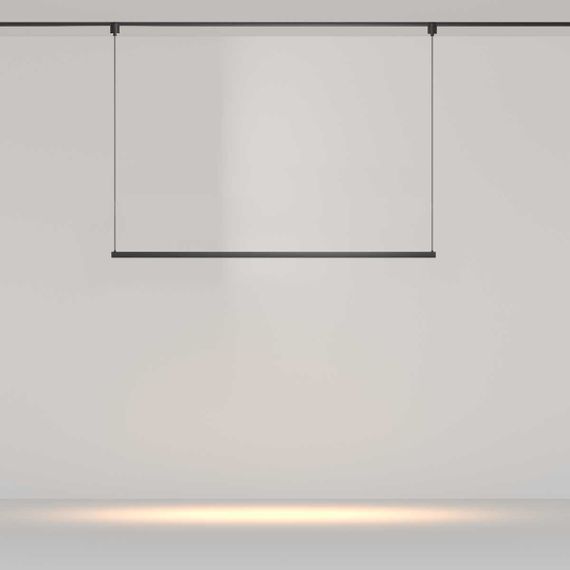 Трековый подвесной светильник Maytoni Technical TR170-1-52W3K-B