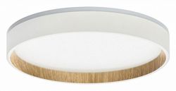 Накладной светильник Citilux Etalon CL750240