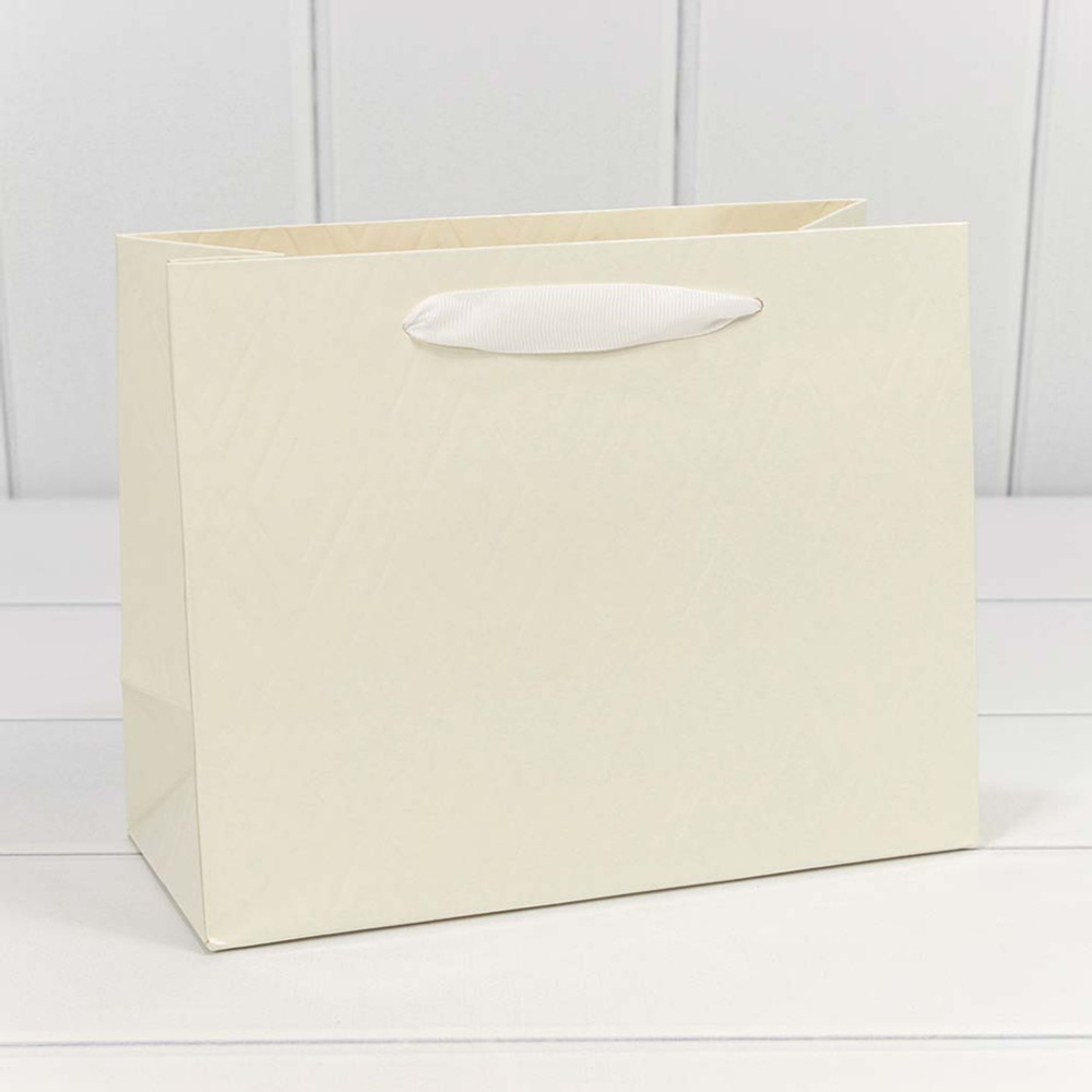 Пакет подарочный 23х18х10см Премиум "Элегант" (Белый)