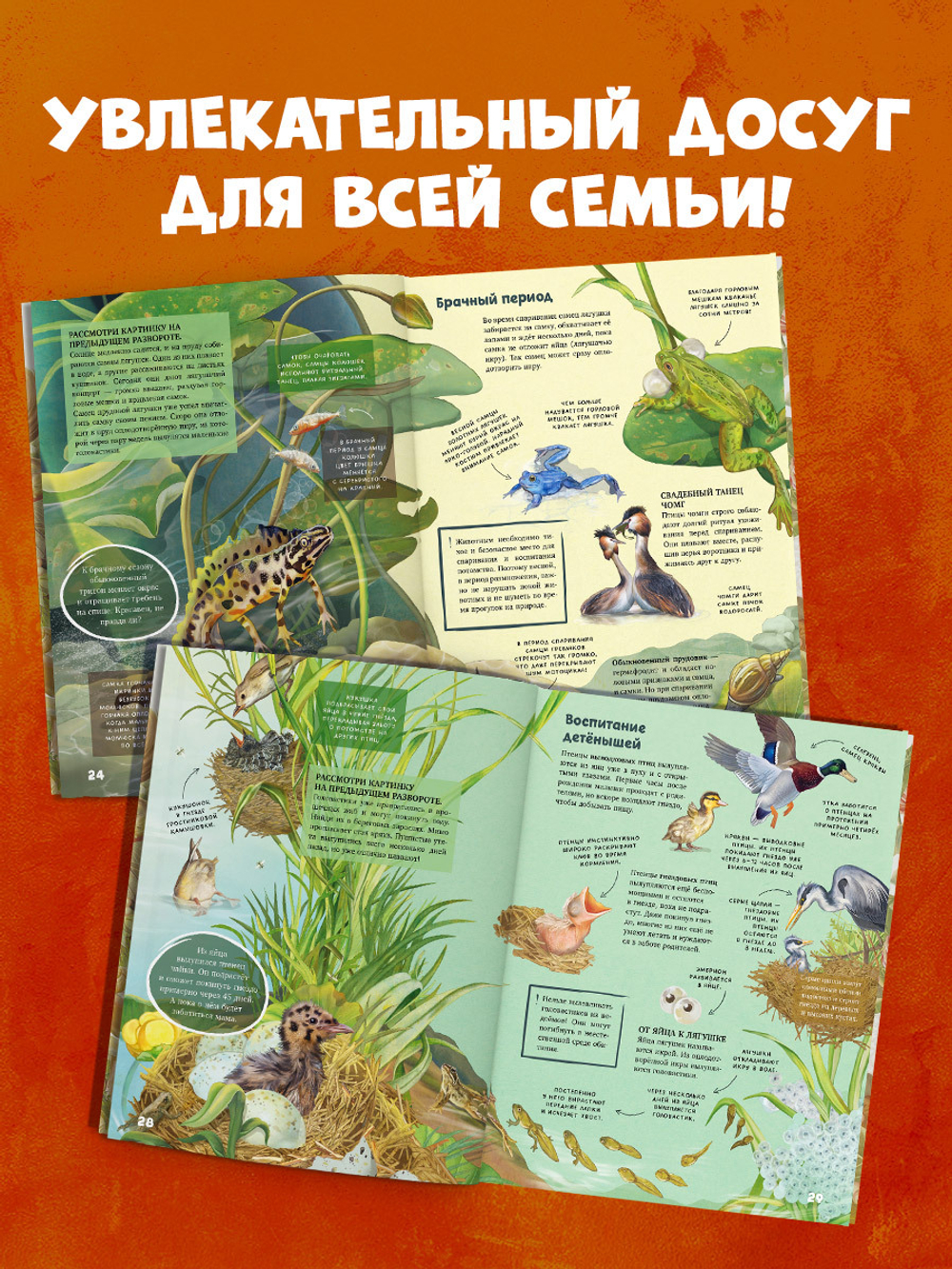 Удивительные энциклопедии. Секреты животных озера. Визуальная энциклопедия