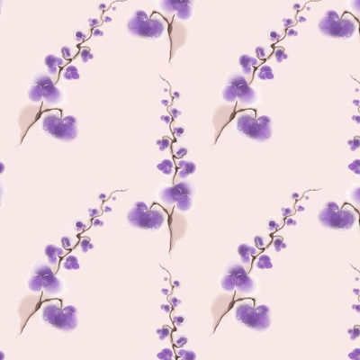 Нежная орхидея