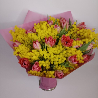 Букет Мимоза и 25 тюльпанов